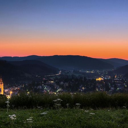 Drei Tannen - Wohnung 11 - Apartmenthaus, Titisee, Feldberg Esterno foto