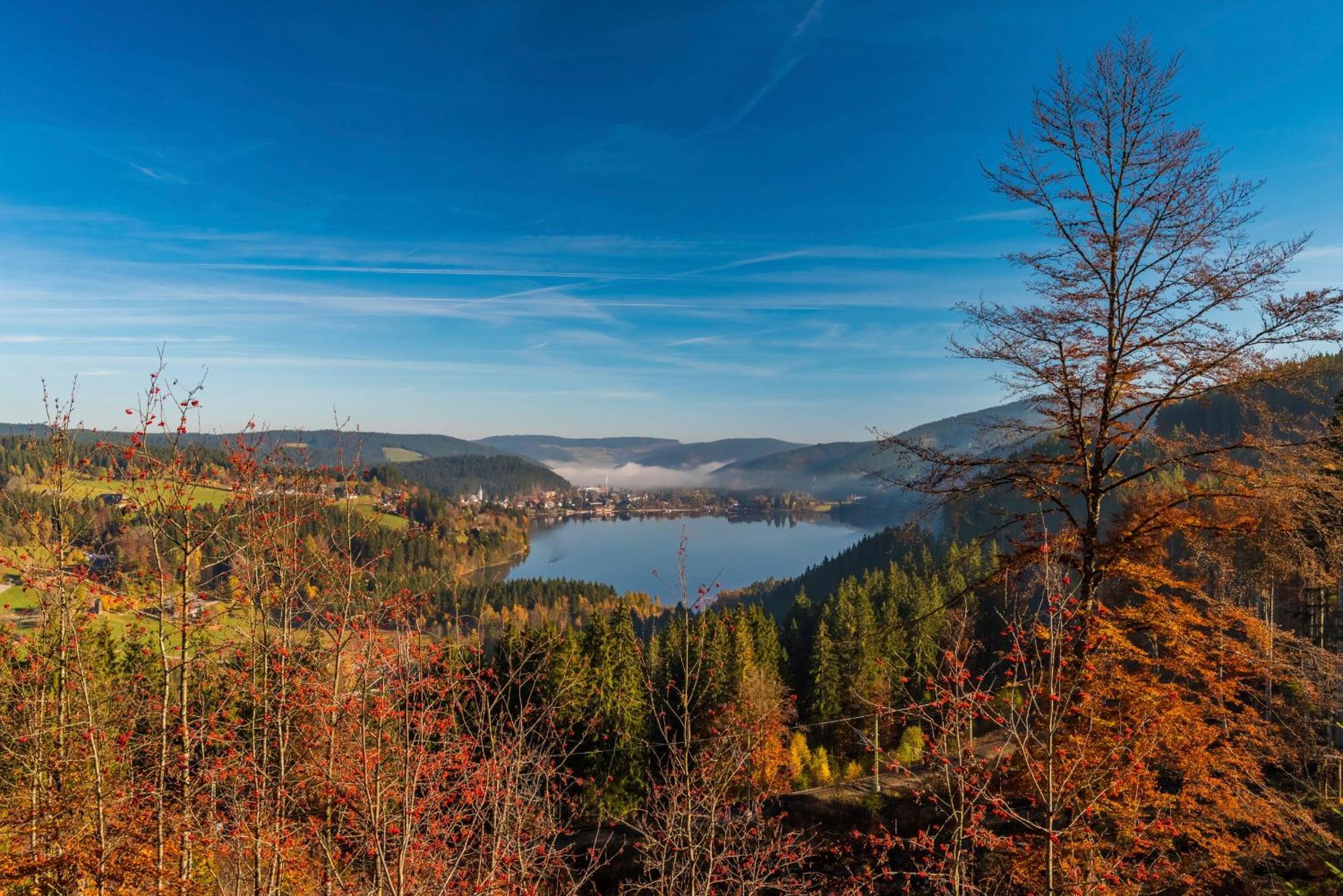 Drei Tannen - Wohnung 11 - Apartmenthaus, Titisee, Feldberg Esterno foto