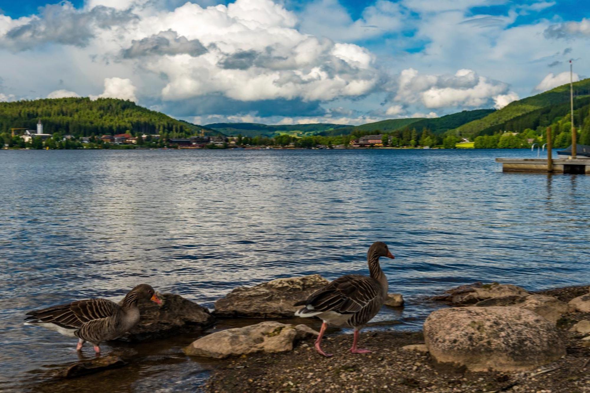 Drei Tannen - Wohnung 11 - Apartmenthaus, Titisee, Feldberg Esterno foto